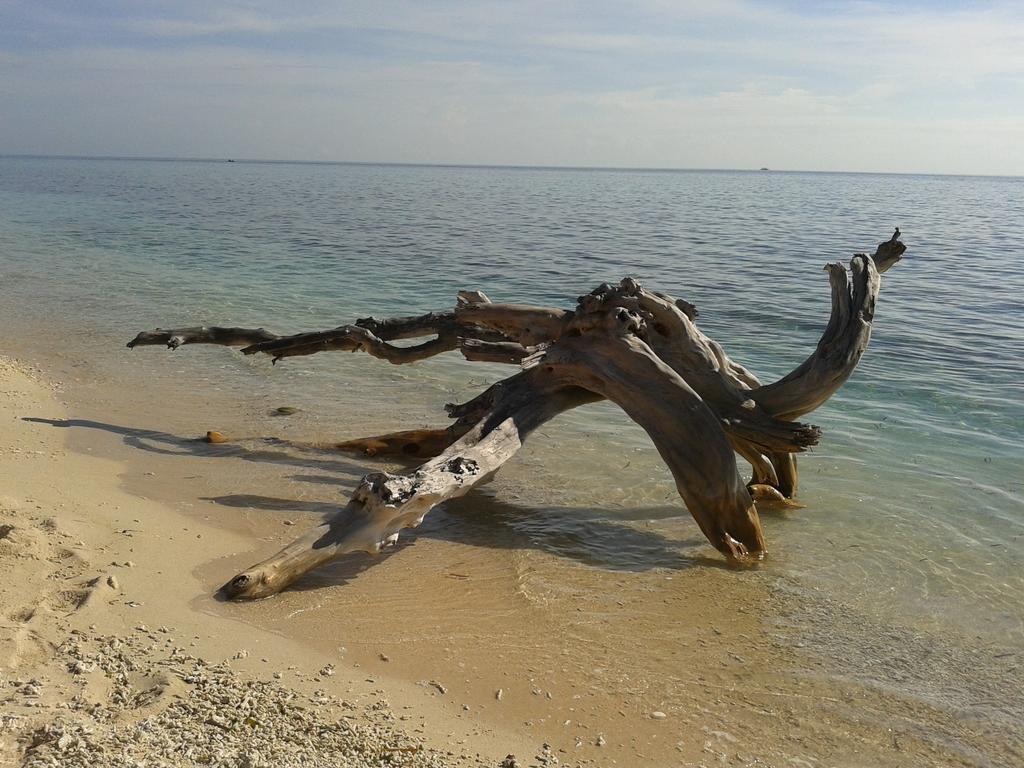 Putri Homestay Gili Meno Bagian luar foto